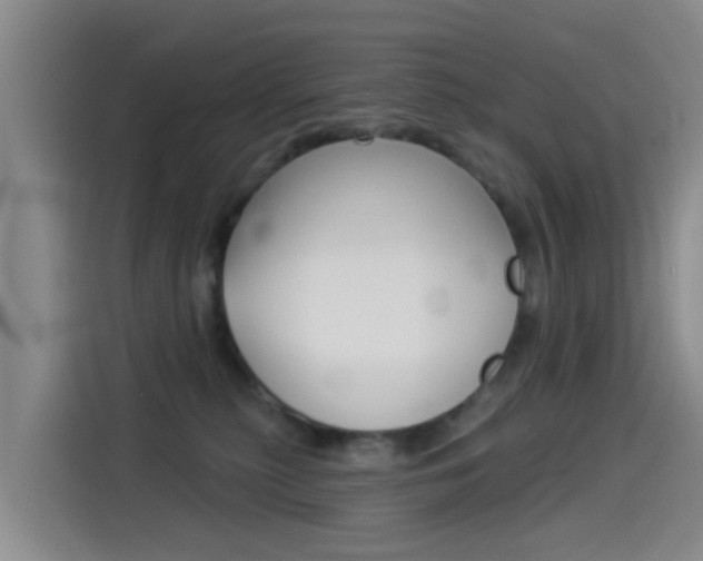 X0000114550279200910190957