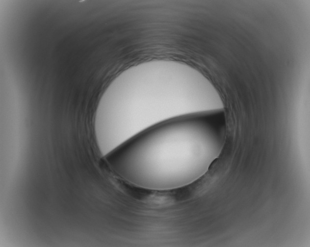 X0000114550280200910190957