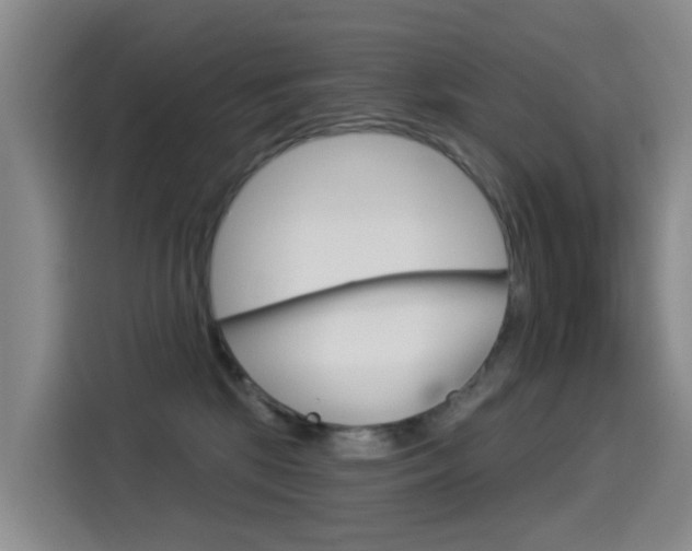 X0000114550281200910190957
