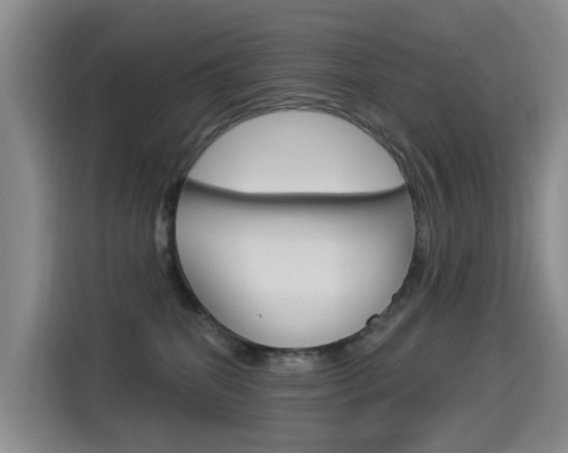X0000114550282200910190957