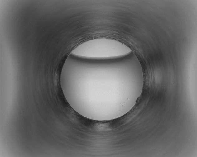X0000114550283200910190957