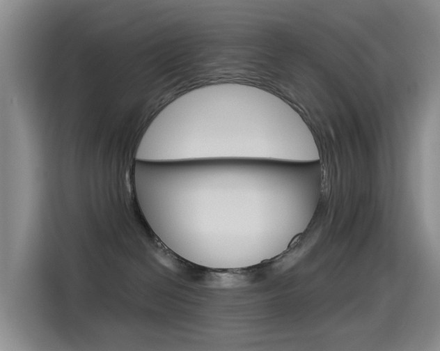 X0000114550286200910190957
