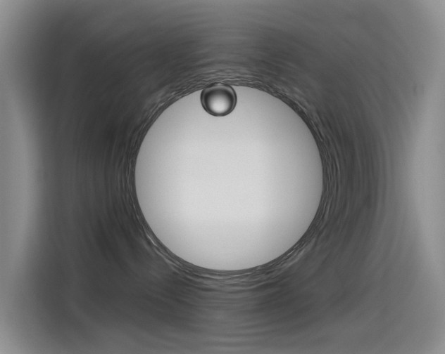 X0000114550288200910190957