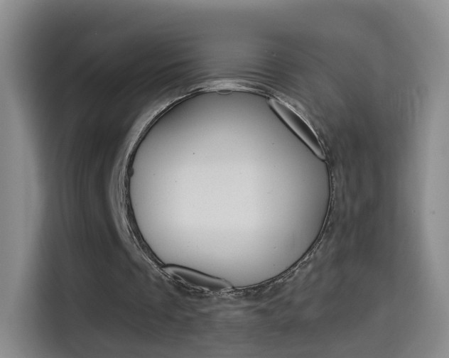 X0000114550289200910190957