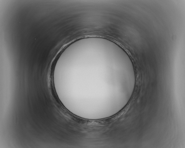 X0000114550290200910190957