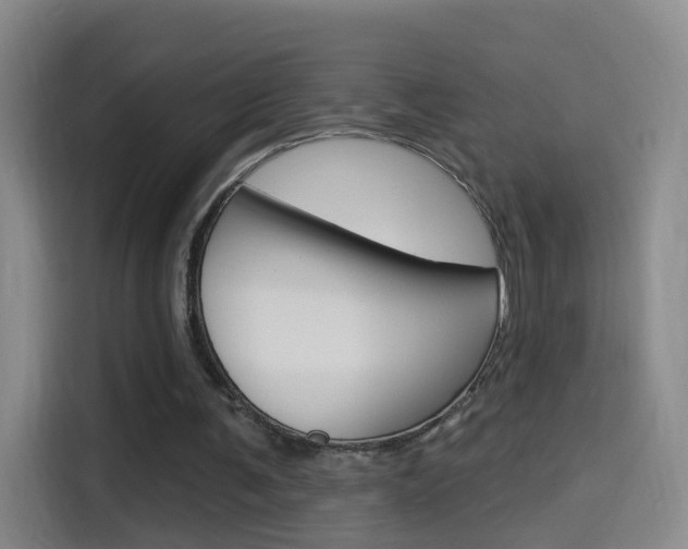 X0000114550291200910190957