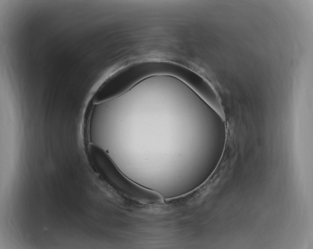 X0000114550292200910190957