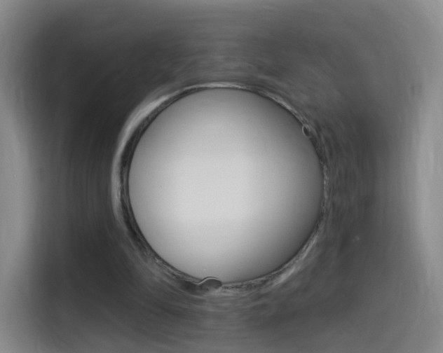 X0000114550294200910190957