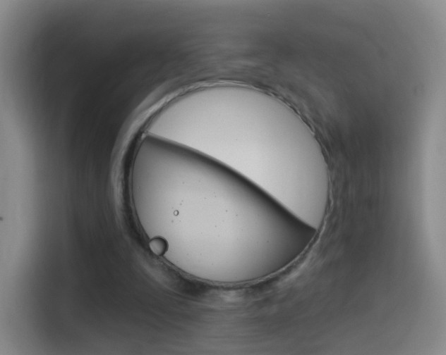 X0000114550295200910190957