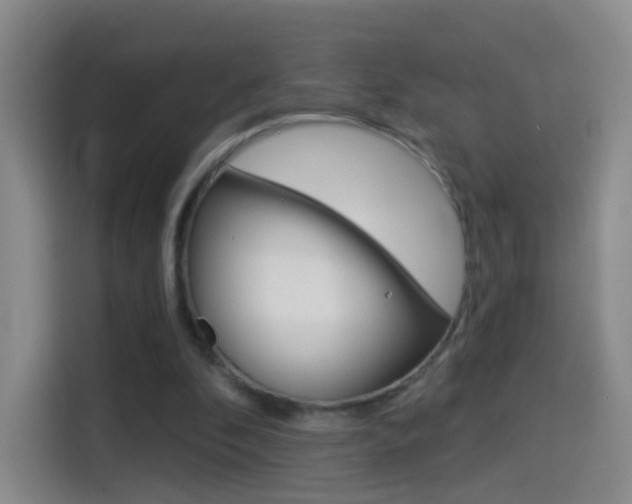 X0000114550296200910190957