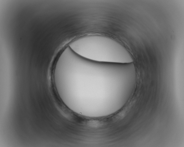 X0000114550298200910190957