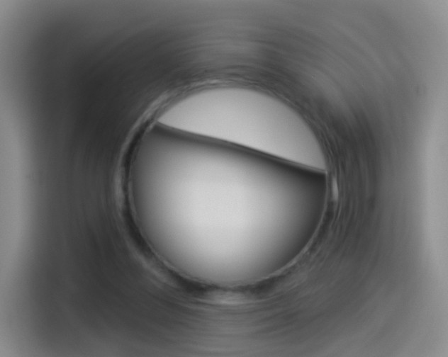 X0000114550300200910190957
