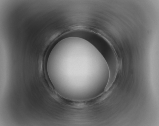 X0000114550301200910190957