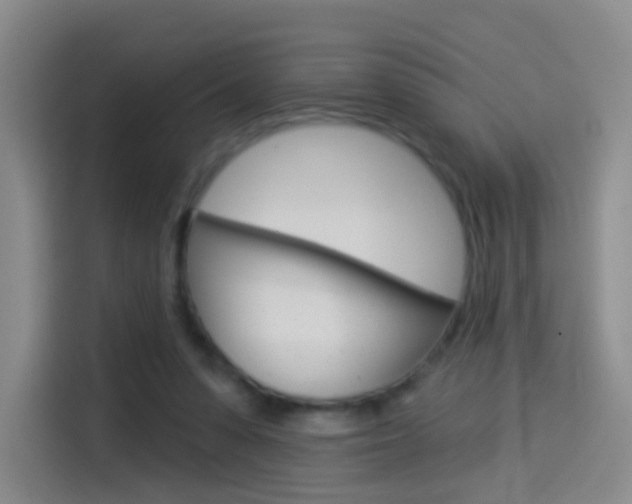 X0000114550303200910190957