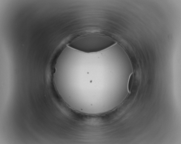 X0000114550304200910190956
