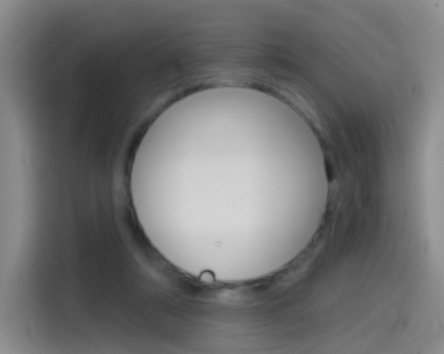 X0000114550306200910190956