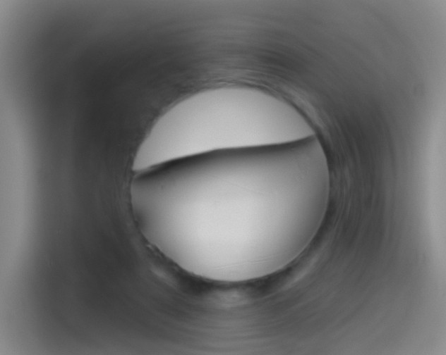 X0000114550307200910190956