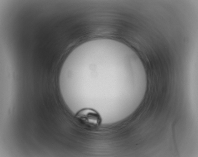 X0000114550308200910190956