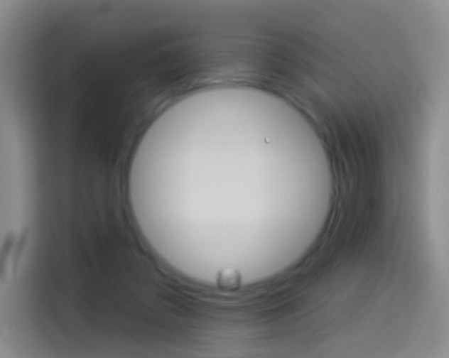 X0000114550309200910190956