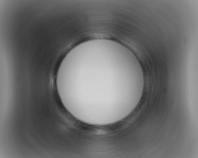 X0000114550310200910190956