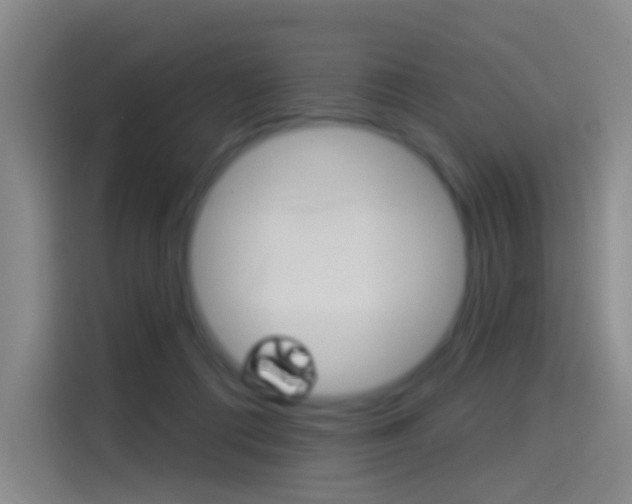X0000114550312200910190956
