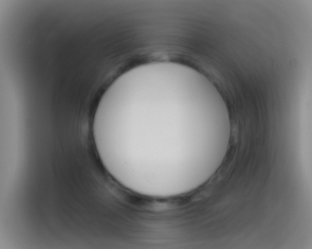 X0000114550314200910190956