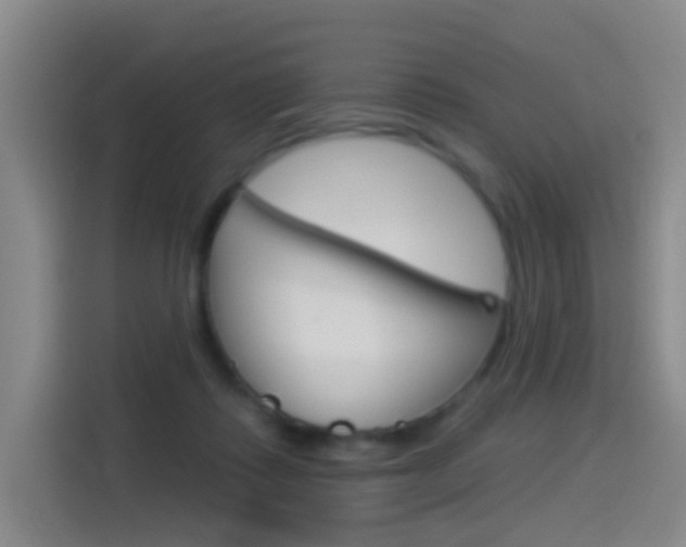 X0000114550315200910190956