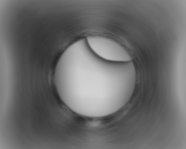 X0000114550318200910190956