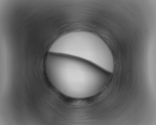 X0000114550319200910190956