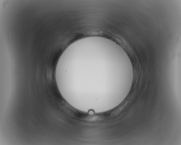 X0000114550326200910190956