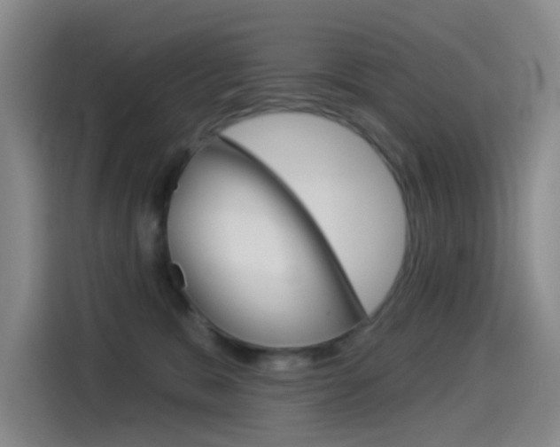 X0000114550327200910190956