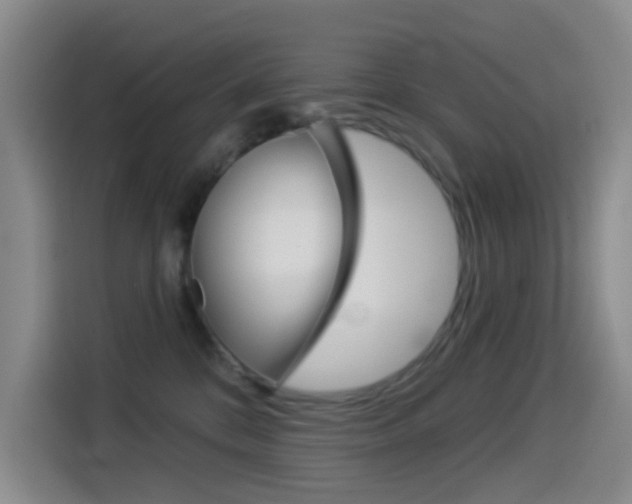 X0000114550328200910190956