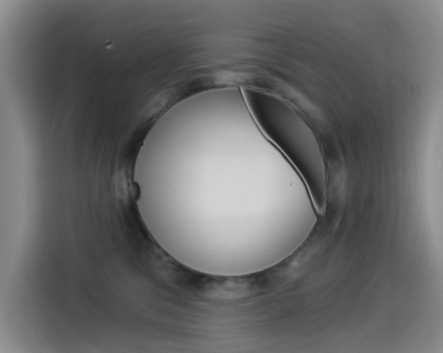 X0000114550329200910190956