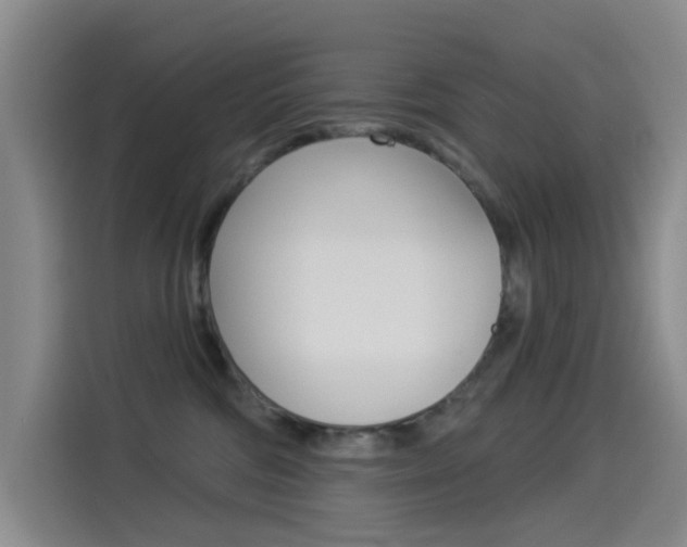 X0000114550330200910190956