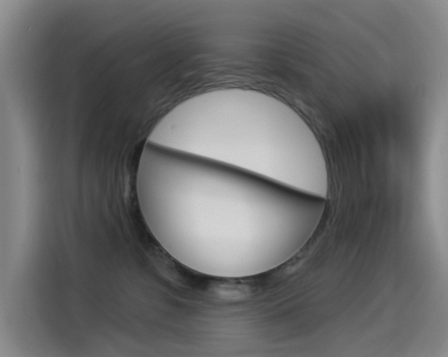 X0000114550331200910190956