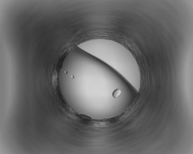 X0000114550332200910190956
