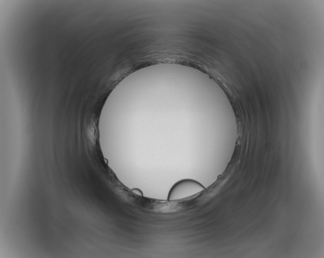 X0000114550334200910190956