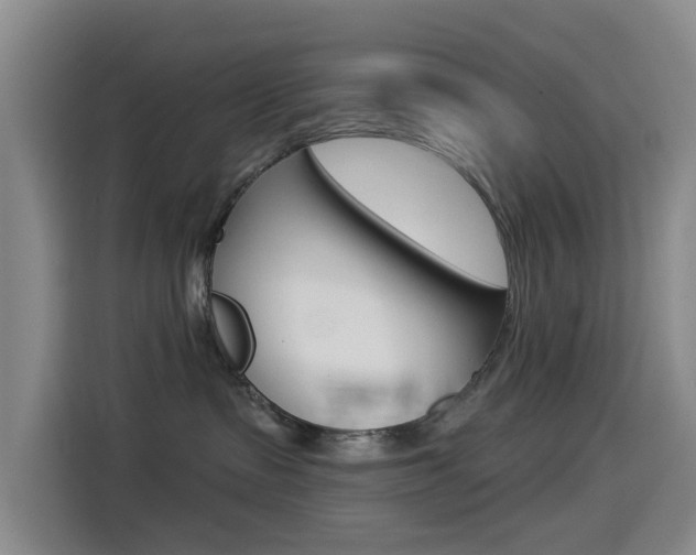 X0000114550335200910190956