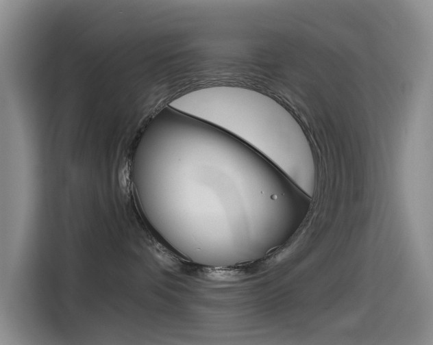 X0000114550336200910190956