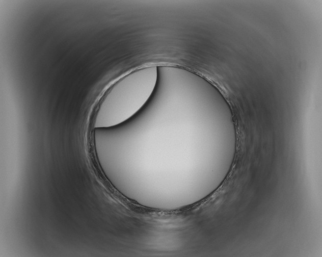 X0000114550338200910190955