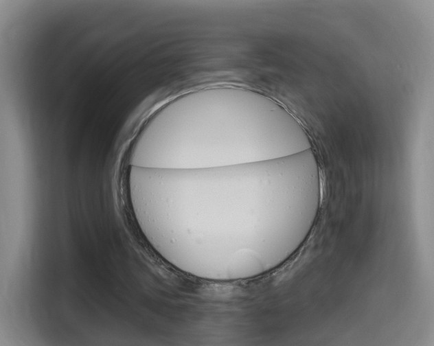 X0000114550339200910190955