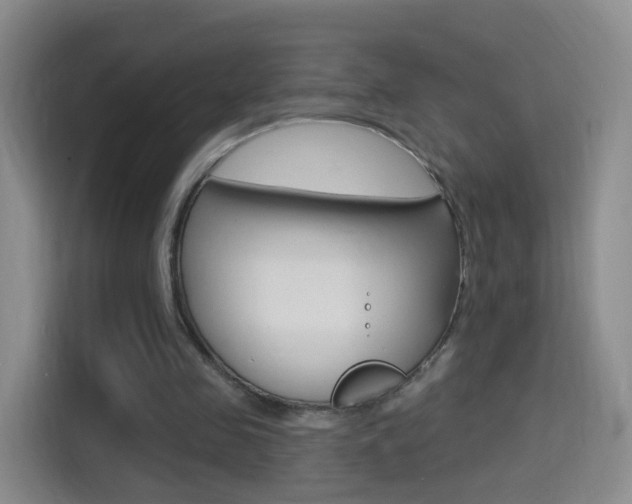 X0000114550341200910190956
