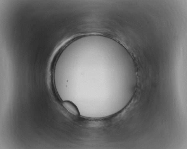 X0000114550342200910190956