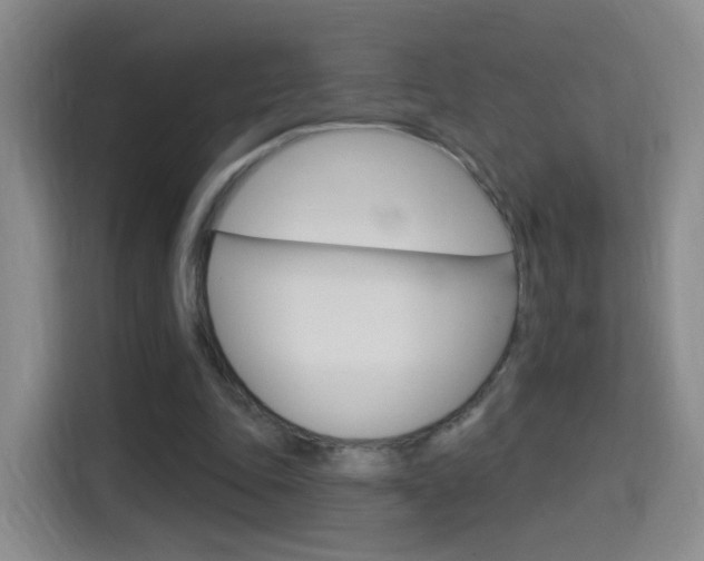 X0000114550343200910190956