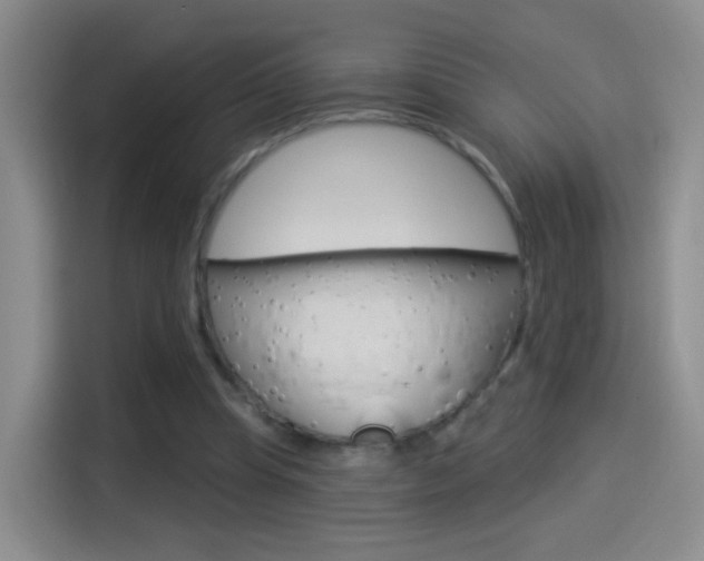 X0000114550345200910190956