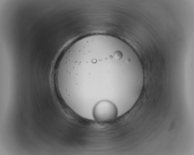 X0000114550346200910190956