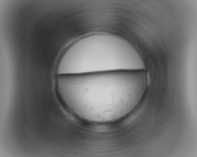 X0000114550349200910190956