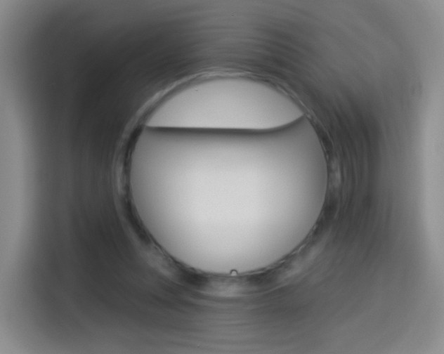 X0000114550351200910190956