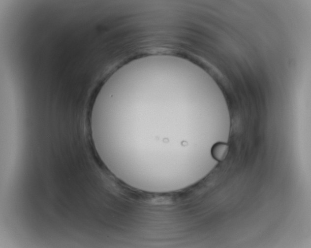 X0000114550353200910190956
