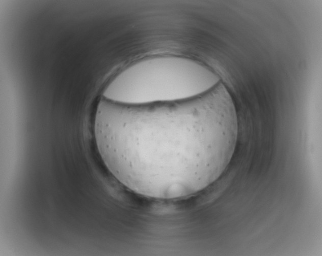 X0000114550354200910190956